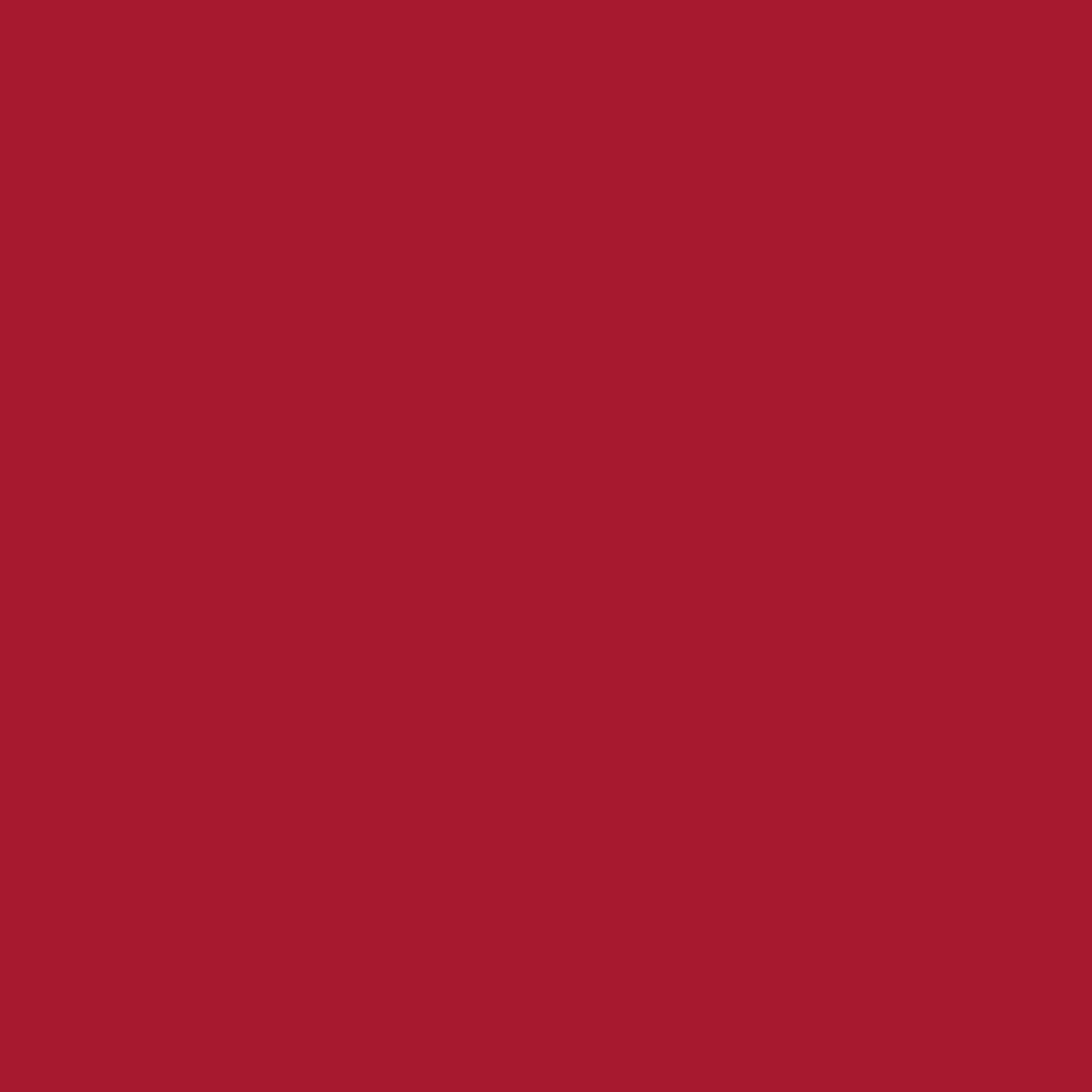 Cricut Smart Vinyl Permanent 33x91cm 1 sheet (Red) Cricut Smart Vinyl Permanent 33x91cm 1 sheet (Red)