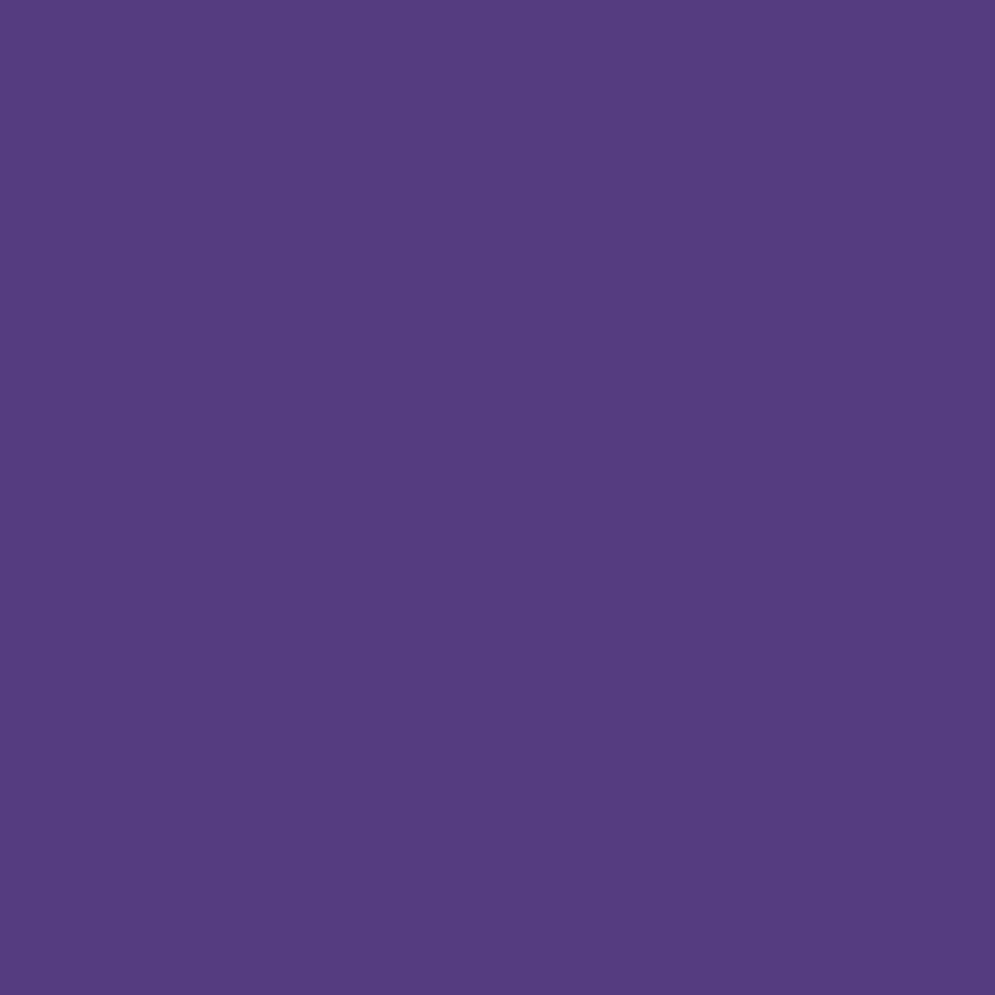 Cricut Smart Vinyl Permanent Joy 14x122cm 1 sheet (Mat Purple) Cricut Smart Vinyl Permanent Joy 14x122cm 1 sheet (Mat Purple)
