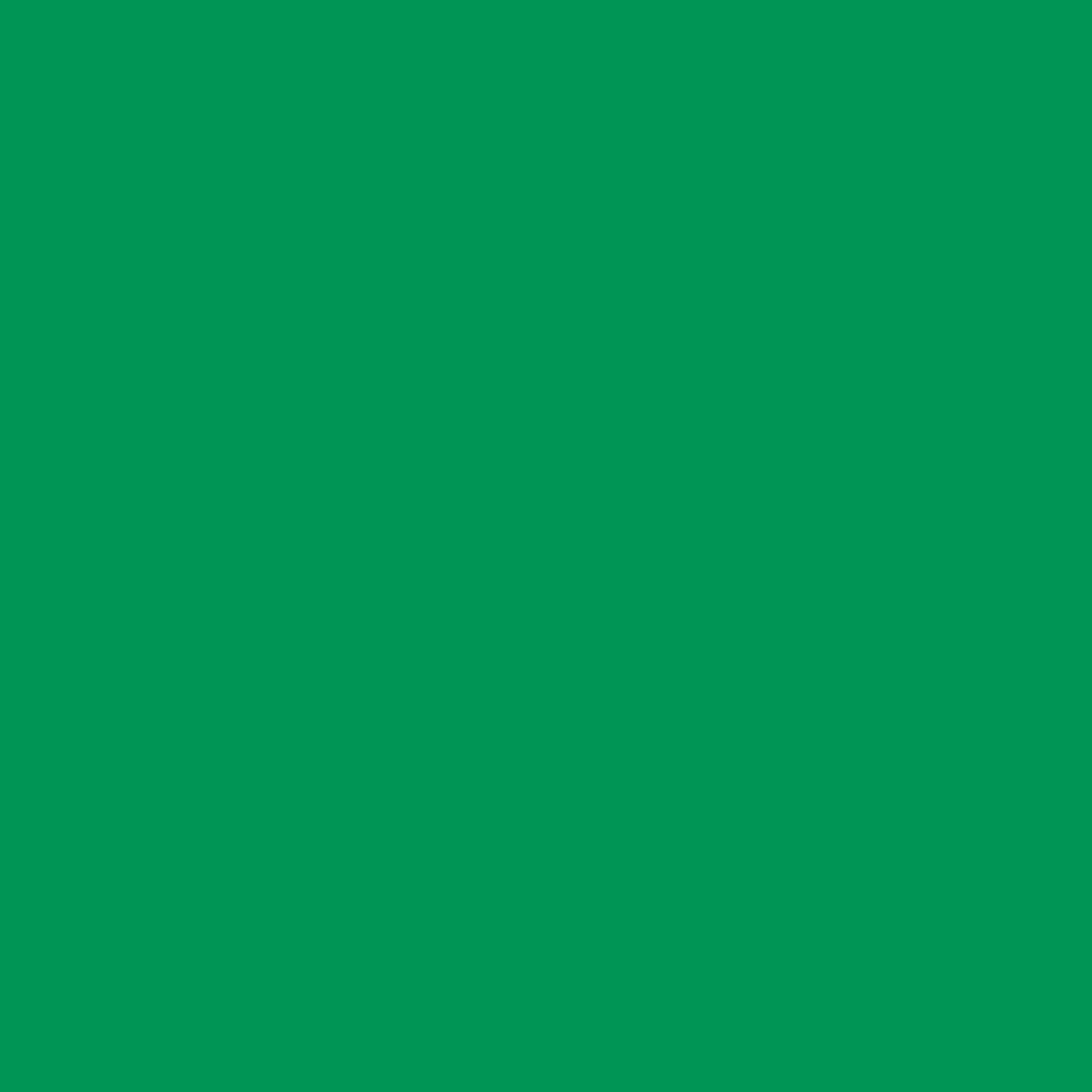 Cricut Smart Vinyl Permanent Joy 14x122cm 1 sheet (Mat Grass)